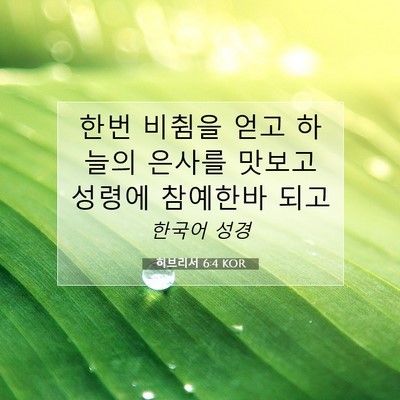 Picture 07 - 히브리서 6:4 KOR - 한번 비췸을 얻고 하늘의 은사를 - Bible Verse Picture