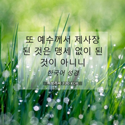 Picture 07 - 히브리서 7:20 KOR - 또 예수께서 제사장 된 것은 맹세 - Bible Verse Picture