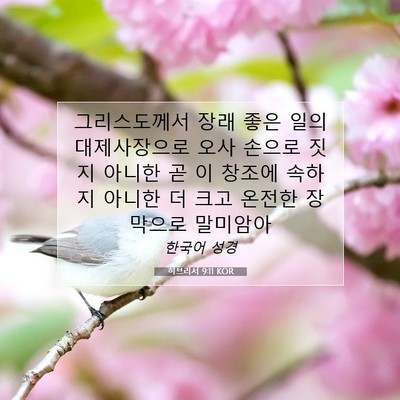 Picture 07 - 히브리서 9:11 KOR - 그리스도께서 장래 좋은 일의 - Bible Verse Picture