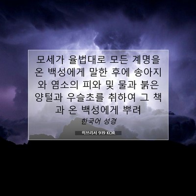 Picture 07 - 히브리서 9:19 KOR - 모세가 율법대로 모든 계명을 온 - Bible Verse Picture