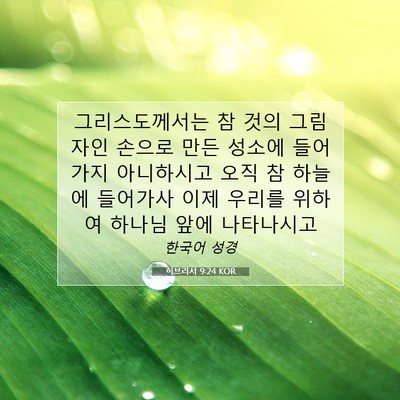 Picture 07 - 히브리서 9:24 KOR - 그리스도께서는 참 것의 그림자인 - Bible Verse Picture