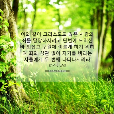 Picture 07 - 히브리서 9:28 KOR - 이와 같이 그리스도도 많은 사람의 - Bible Verse Picture