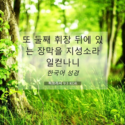 Picture 07 - 히브리서 9:3 KOR - 또 둘째 휘장 뒤에 있는 장막을 - Bible Verse Picture