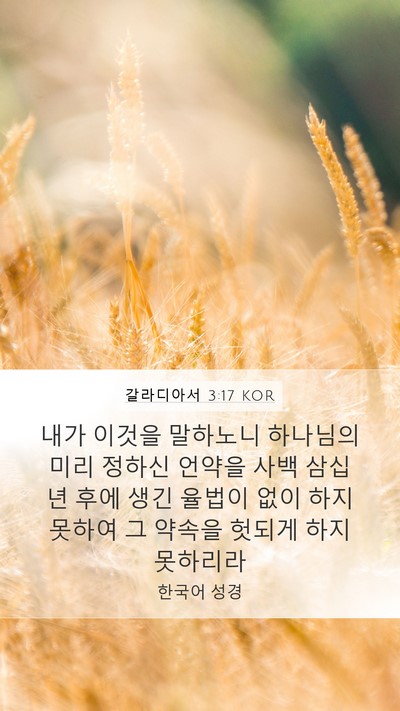 갈라디아서 3:17 KOR Bible Verse Image