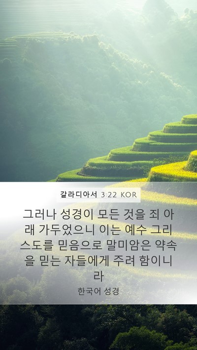 갈라디아서 3:22 KOR Bible Verse Image