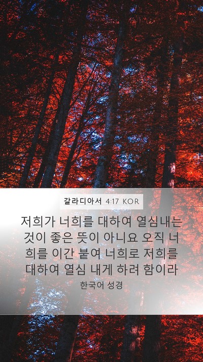 갈라디아서 4:17 KOR Bible Verse Image