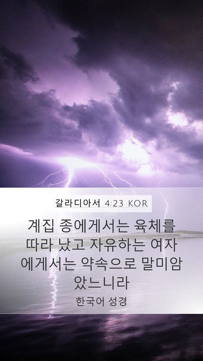 갈라디아서 4:23 KOR Bible Verse Image