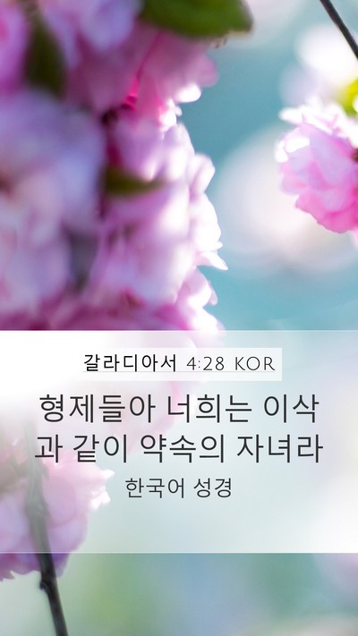 갈라디아서 4:28 KOR Bible Verse Image