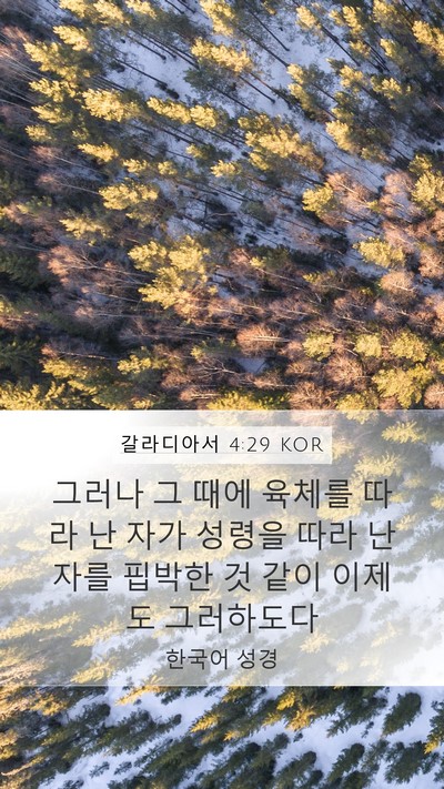 갈라디아서 4:29 KOR Bible Verse Image