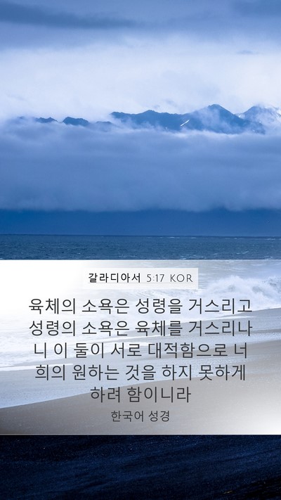 갈라디아서 5:17 KOR Bible Verse Image