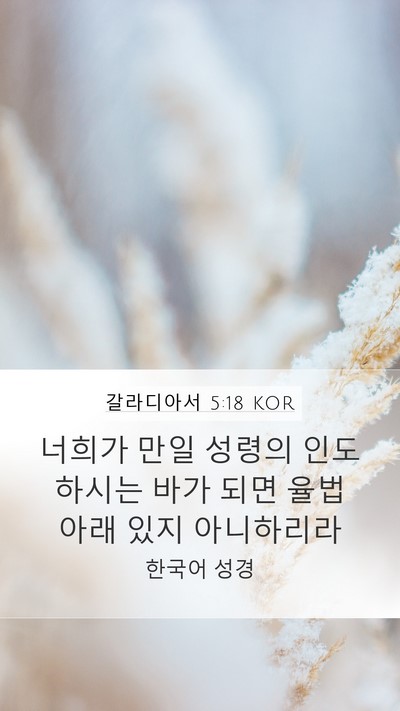 갈라디아서 5:18 KOR Bible Verse Image