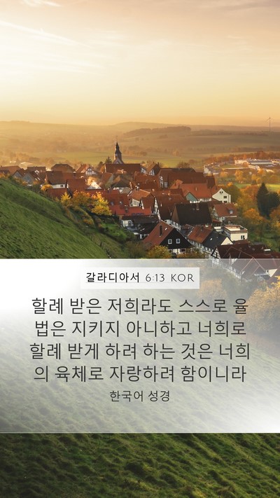 갈라디아서 6:13 KOR Bible Verse Image