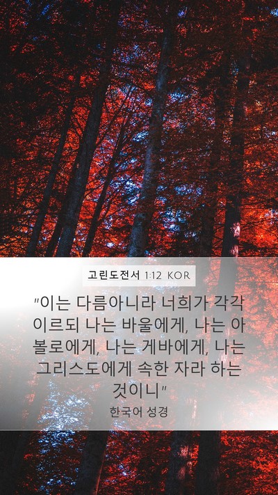 고린도전서 1:12 KOR Bible Verse Image