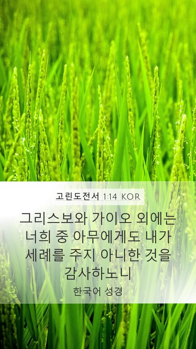 고린도전서 1:14 KOR Bible Verse Image