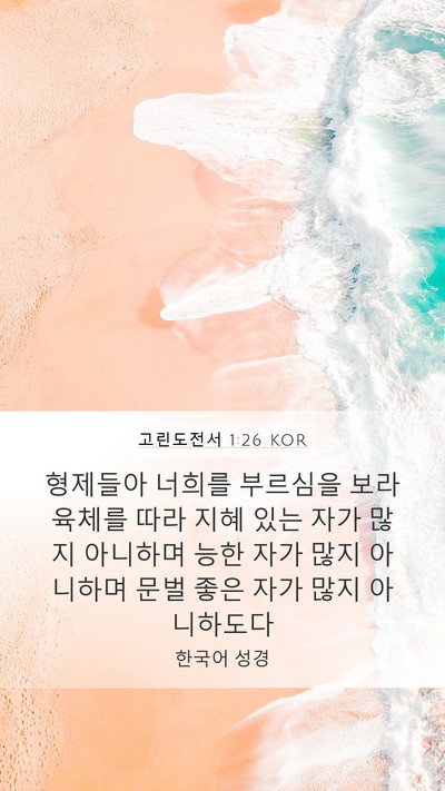 고린도전서 1:26 KOR Bible Verse Image