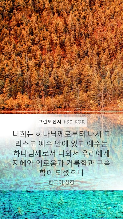 고린도전서 1:30 KOR Bible Verse Image