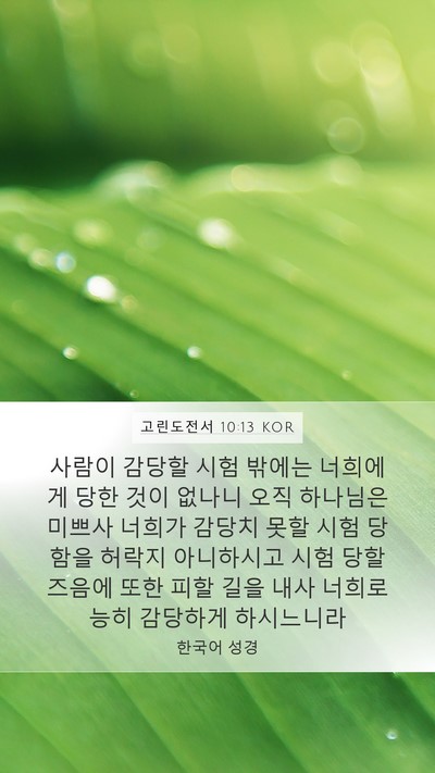 고린도전서 10:13 KOR Bible Verse Image