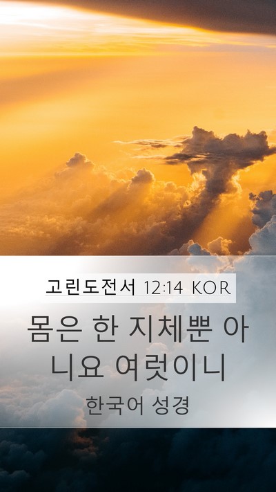 고린도전서 12:14 KOR Bible Verse Image