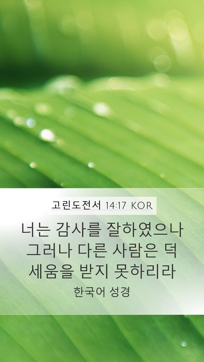 고린도전서 14:17 KOR Bible Verse Image
