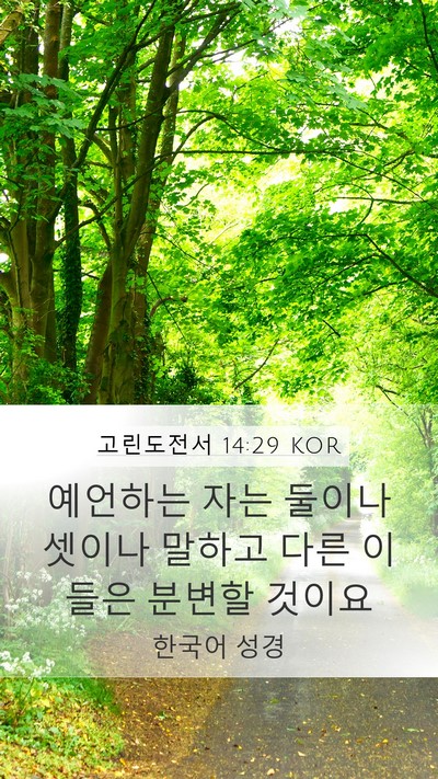 고린도전서 14:29 KOR Mobile Phone Wallpaper - 예언하는 자는 둘이나 셋이나 말하고 - Mobile Bible Verse Wallpaper