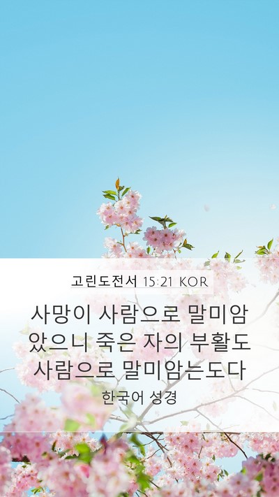 고린도전서 15:21 KOR Bible Verse Image