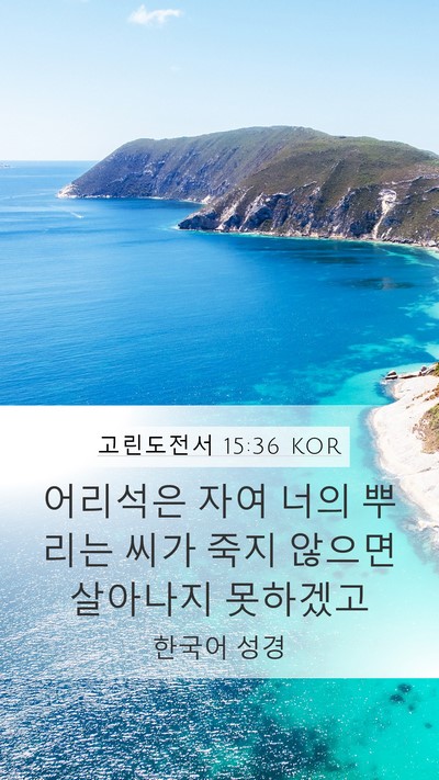 고린도전서 15:36 KOR Bible Verse Image