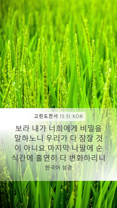 고린도전서 15:51 KOR Bible Verse Image