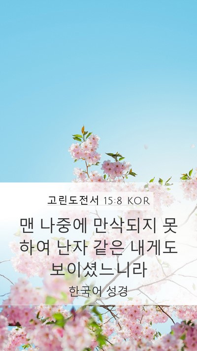 고린도전서 15:8 KOR Bible Verse Image