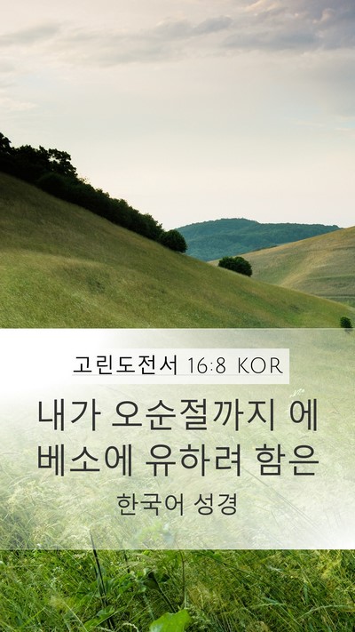 고린도전서 16:8 KOR Bible Verse Image