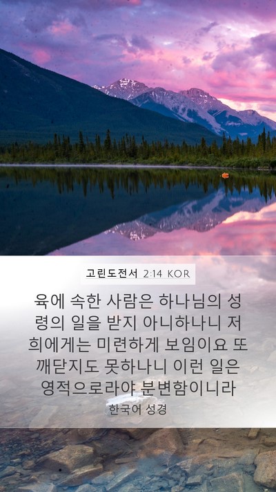 고린도전서 2:14 KOR Bible Verse Image