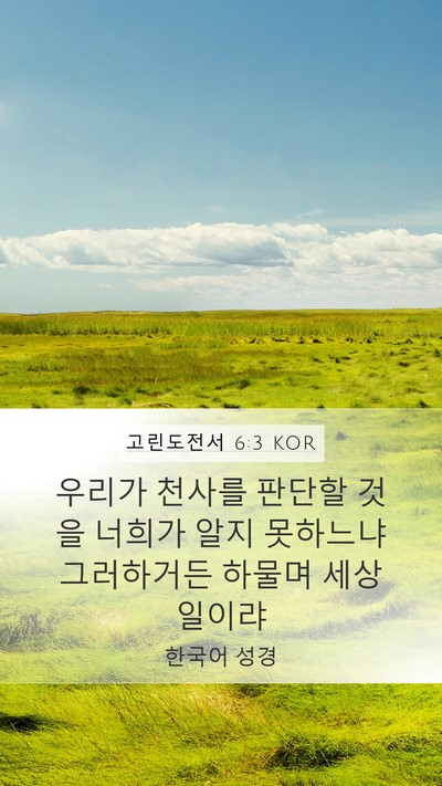 고린도전서 6:3 KOR Mobile Phone Wallpaper - 우리가 천사를 판단할 것을 너희가 - Mobile Bible Verse Wallpaper