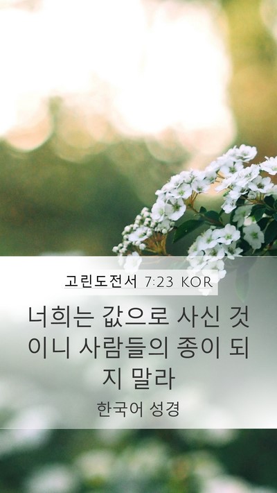 고린도전서 7:23 KOR Bible Verse Image