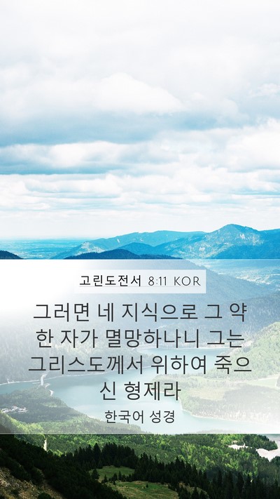 고린도전서 8:11 KOR Bible Verse Image