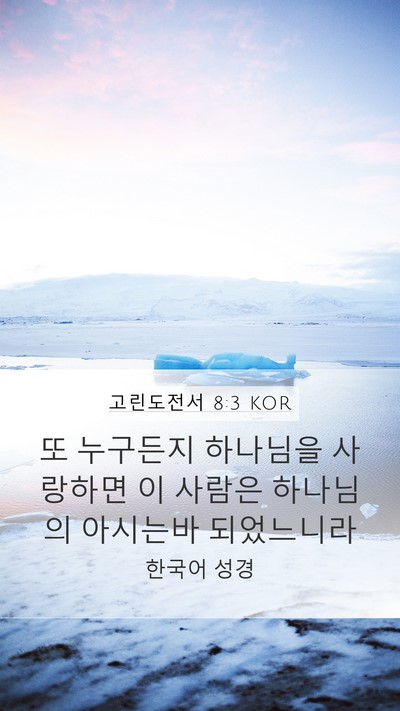 고린도전서 8:3 KOR Bible Verse Image