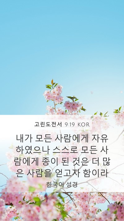 고린도전서 9:19 KOR Bible Verse Image