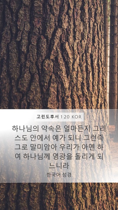 고린도후서 1:20 KOR Bible Verse Image