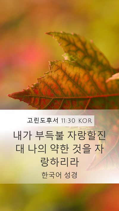 고린도후서 11:30 KOR Bible Verse Image