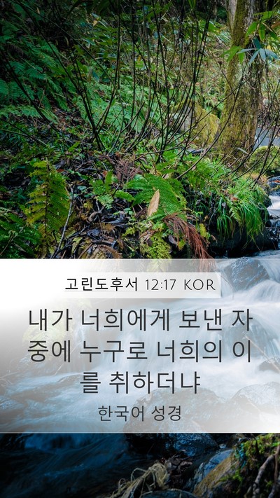 고린도후서 12:17 KOR Bible Verse Image