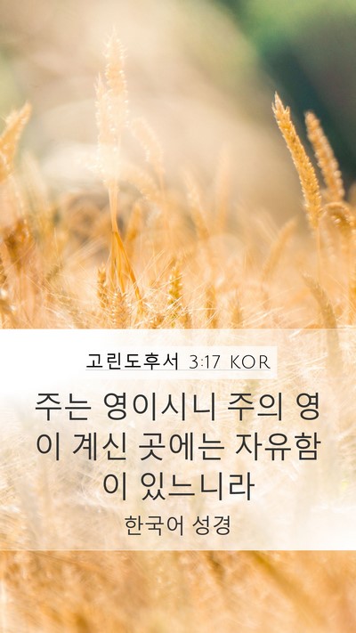 고린도후서 3:17 KOR Bible Verse Image
