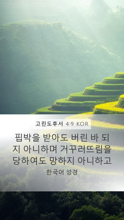 고린도후서 4:9 KOR Bible Verse Image