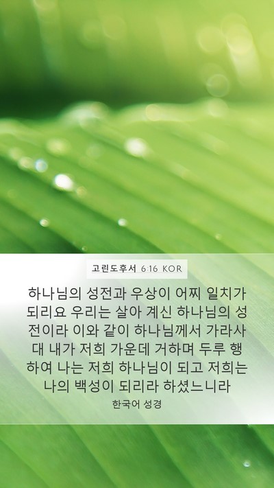 고린도후서 6:16 KOR Bible Verse Image