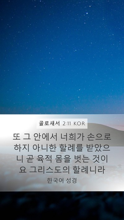 골로새서 2:11 KOR Bible Verse Image