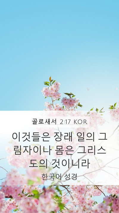 골로새서 2:17 KOR Bible Verse Image