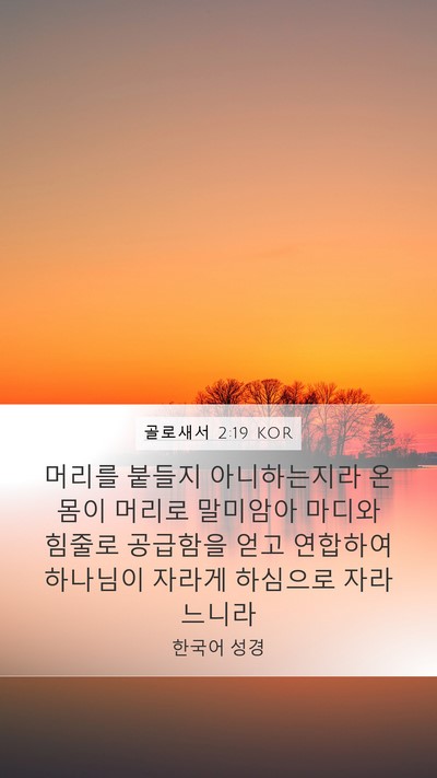 골로새서 2:19 KOR Bible Verse Image
