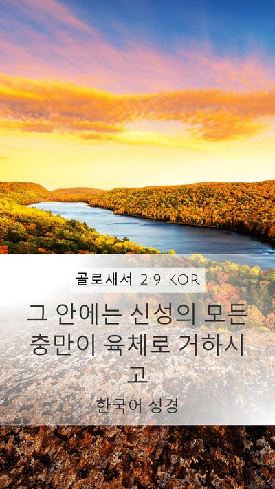 골로새서 2:9 KOR Bible Verse Image