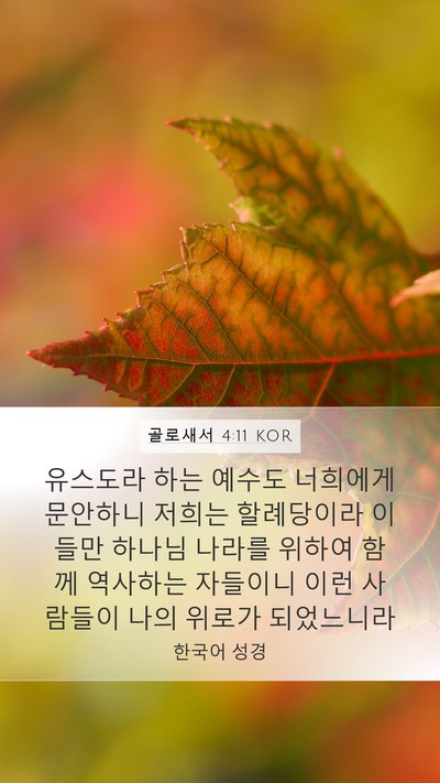골로새서 4:11 KOR Bible Verse Image