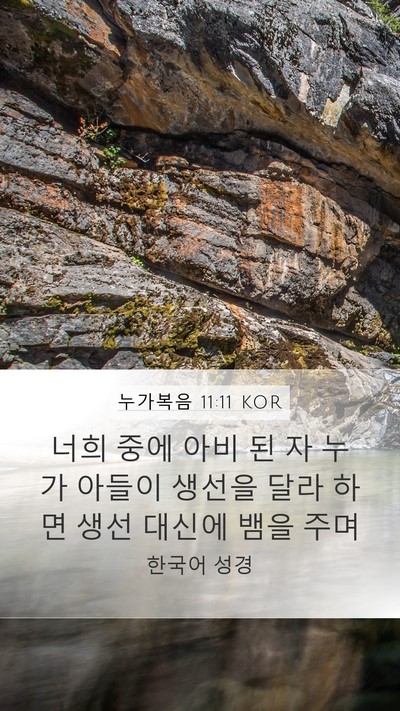 누가복음 11:11 KOR Bible Verse Image