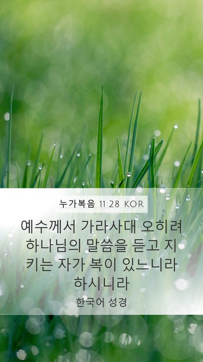 누가복음 11:28 KOR Bible Verse Image