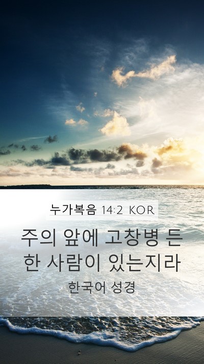 누가복음 14:2 KOR Mobile Phone Wallpaper - 주의 앞에 고창병 든 한 사람이 - Mobile Bible Verse Wallpaper