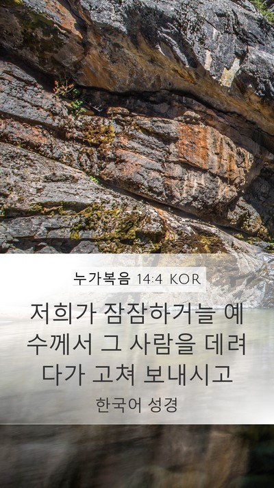누가복음 14:4 KOR Mobile Phone Wallpaper - 저희가 잠잠하거늘 예수께서 그 - Mobile Bible Verse Wallpaper
